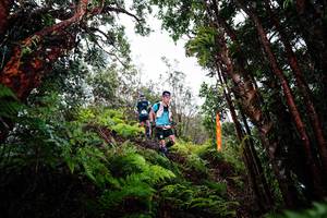 BIB: 
                            <button type="button" onclick="openModal(26202028)" class="btn btn-primary btn-sm float-right btn-popup" data-toggle="modal" data-target=".modal-high-quality">
                        <i class="fas fa-shopping-cart"></i> Add to Cart
                    </button>
                                            <button type="button" onclick="isThisMe(26202028, true)" class="btn btn-success btn-sm float-right btn-popup btn-isme hidden" data-toggle="tooltip" data-placement="bottom" title="นี่คือรูปของคุณใช่ไหม คลิกที่นี่เพื่อเอาเข้าอัลบั้ม">
                        <i class="fas fa-plus"></i> Add to album
                    </button>
                    <button type="button" onclick="isThisMe(26202028, false)" class="btn btn-warning btn-sm float-right btn-popup btn-isnotme hidden">
                        <i class="fas fa-ban"></i> Remove from album
                    </button>